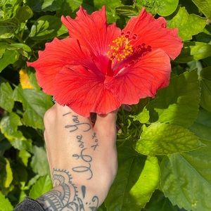 Meet your Posher, Chelsea